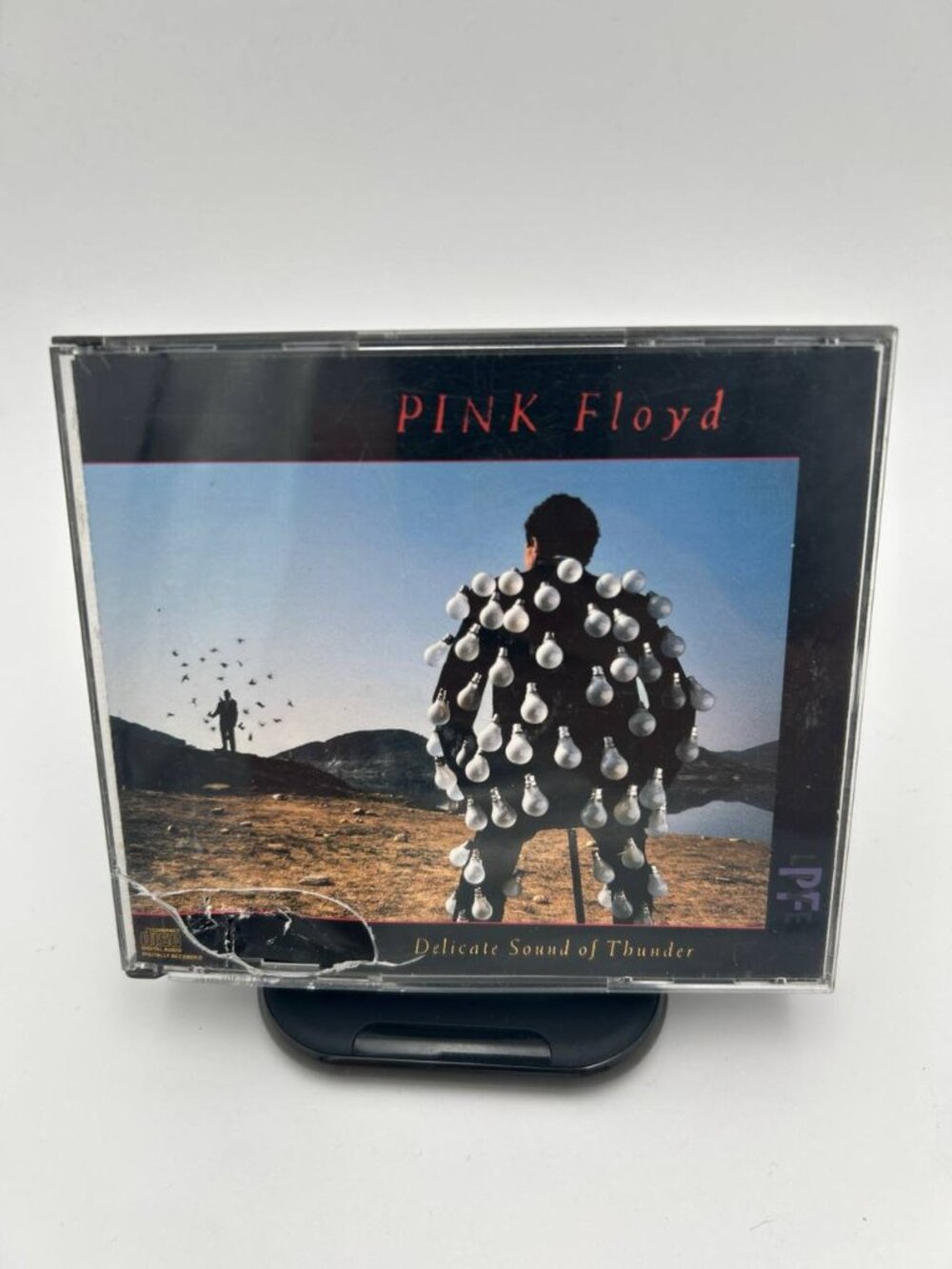 Pink Floyd Delicate Sound of Thunder Vintage 2CD Set